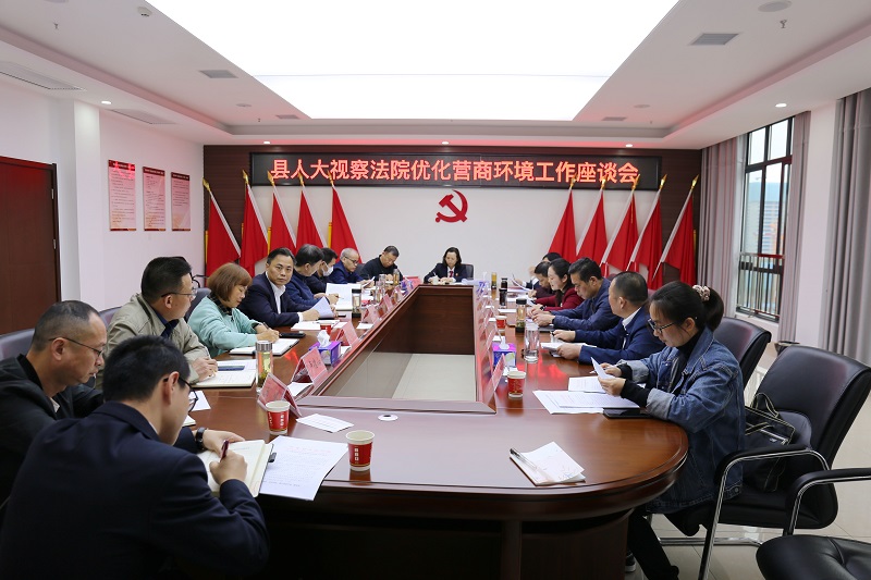 公安县人大常委会主任袁军、县人大常委会副主任阳洋一行到公安县人民法院视察优化营商环境工作。.jpg
